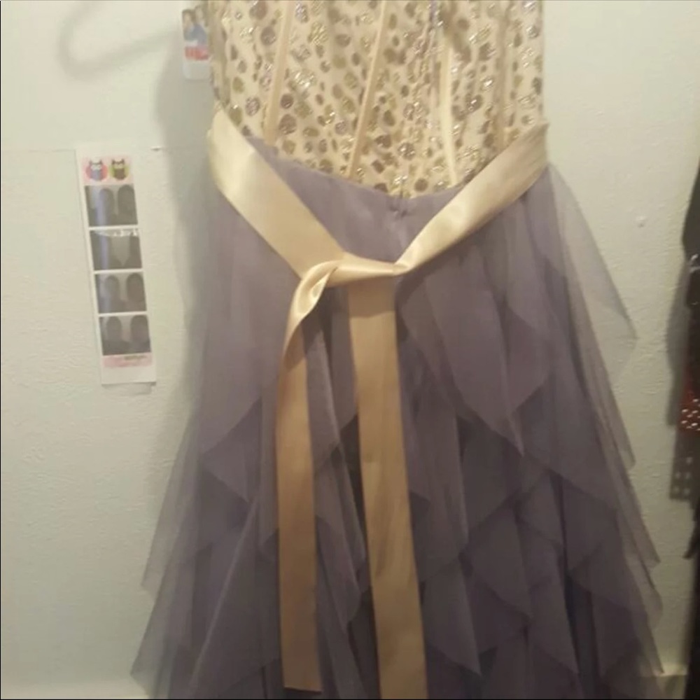 Prom Dress - Picture 4 of 4